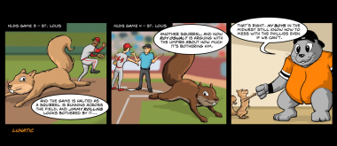 Seriously, that second squirrel, running across home plate, looks like he took the same dare that the Randy Johnson dove took.  Luckily, this squirrel hopefully won the bet.